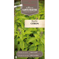 Basilic citron bio - ferme sainte marthe de La Ferme de Sainte Marthe - Graines BIO dans Graines de Basilic