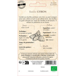 Basilic citron bio - ferme sainte marthe de La Ferme de Sainte Marthe - Graines BIO dans Graines de Basilic