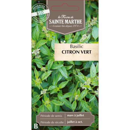 Basilic citron vert bio - ferme sainte marthe de La Ferme de Sainte Marthe - Graines BIO dans Graines de Basilic