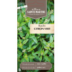 Basilic citron vert bio - ferme sainte marthe de La Ferme de Sainte Marthe - Graines BIO dans Graines de Basilic