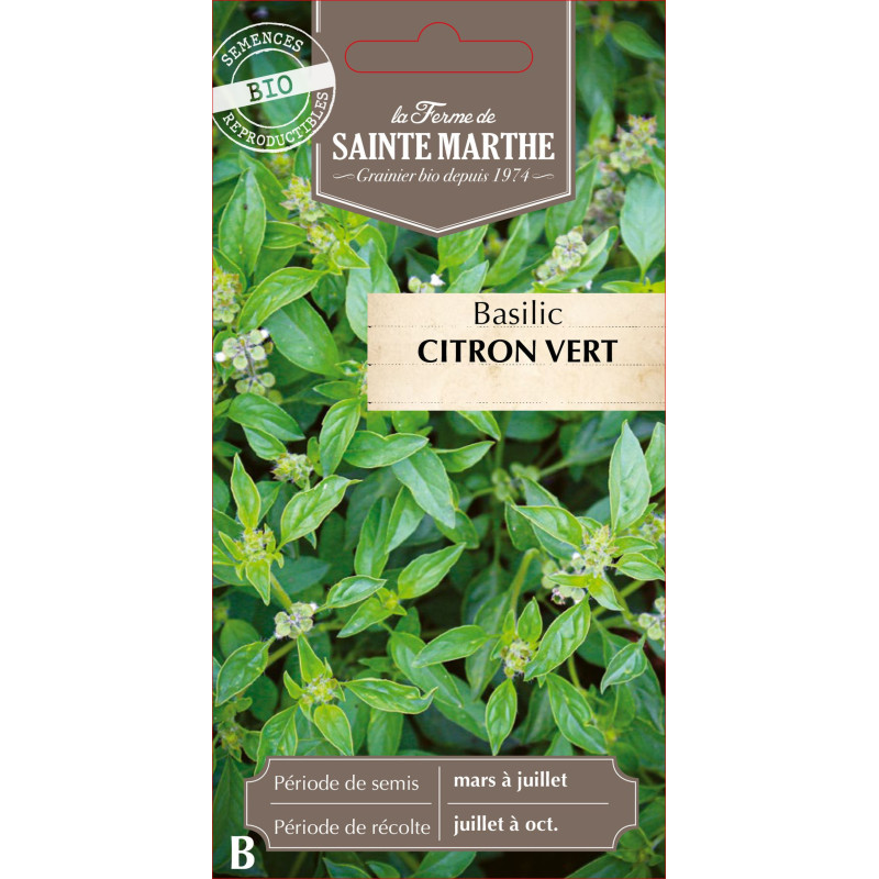 Basilic citron vert bio - ferme sainte marthe de La Ferme de Sainte Marthe - Graines BIO dans Graines de Basilic