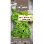 Basilic geant monstueux mammout -sainte marthe de La Ferme de Sainte Marthe - Graines BIO dans Graines de Basilic