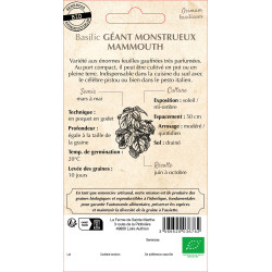 Basilic geant monstueux mammout -sainte marthe de La Ferme de Sainte Marthe - Graines BIO dans Graines de Basilic