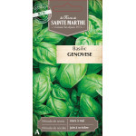 Basilic genovese bio - ferme sainte marthe de La Ferme de Sainte Marthe - Graines BIO dans Graines de Basilic
