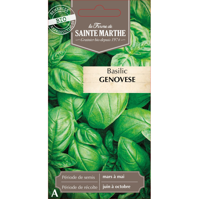 Basilic genovese bio - ferme sainte marthe de La Ferme de Sainte Marthe - Graines BIO dans Graines de Basilic