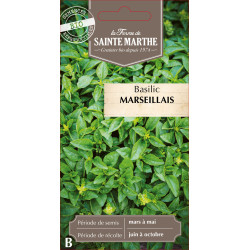 Basilic marseillais bio - ferme sainte marthe de La Ferme de Sainte Marthe - Graines BIO dans Graines de Basilic