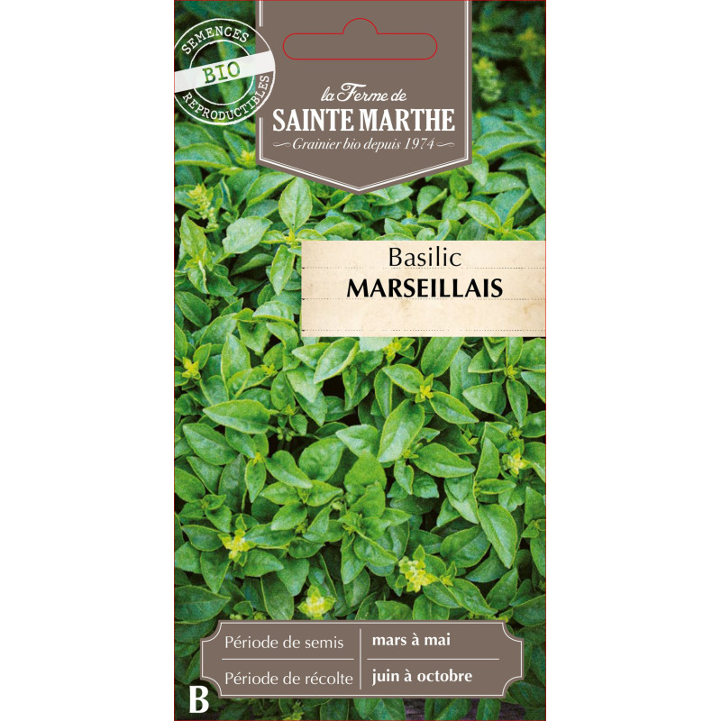 Basilic marseillais bio - ferme sainte marthe de La Ferme de Sainte Marthe - Graines BIO dans Graines de Basilic