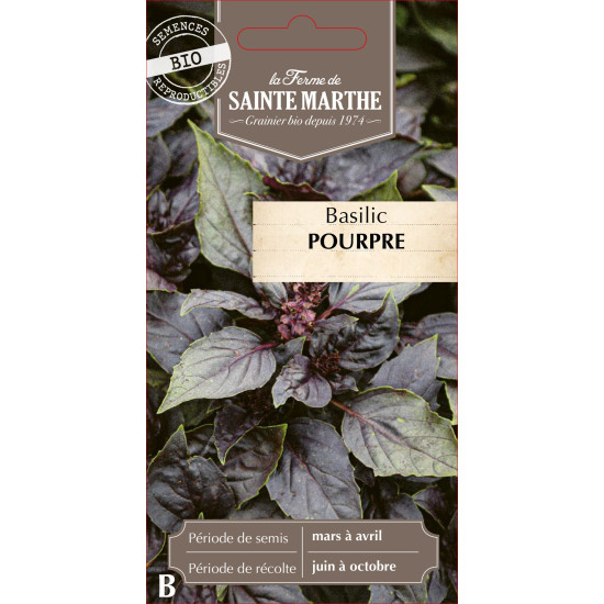 Basilic pourpre bio - ferme sainte marthe de La Ferme de Sainte Marthe - Graines BIO dans Graines de Basilic