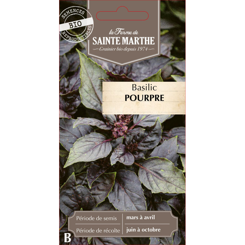 Basilic pourpre bio - ferme sainte marthe de La Ferme de Sainte Marthe - Graines BIO dans Graines de Basilic