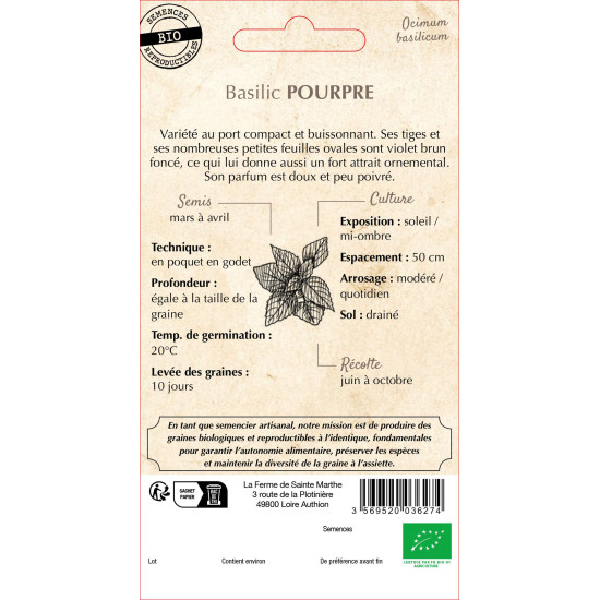 Basilic pourpre bio - ferme sainte marthe de La Ferme de Sainte Marthe - Graines BIO dans Graines de Basilic