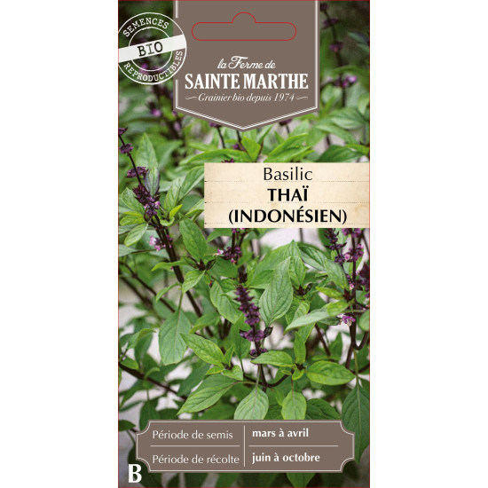 Basilic thai ou indonesien bio - sainte marthe de La Ferme de Sainte Marthe - Graines BIO dans Graines de Basilic