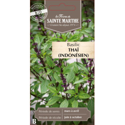 Basilic thai ou indonesien bio - sainte marthe de La Ferme de Sainte Marthe - Graines BIO dans Graines de Basilic