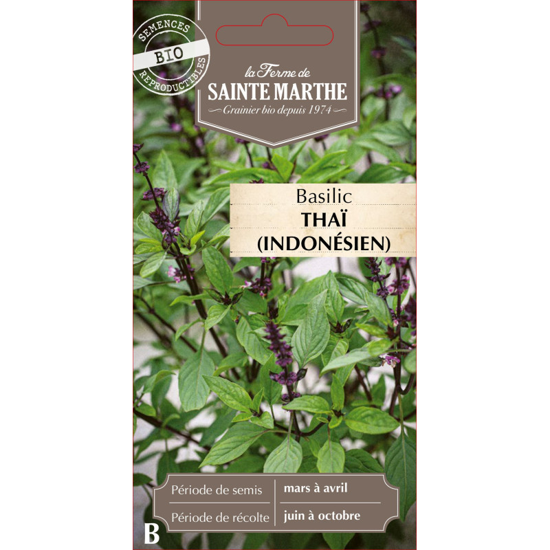 Basilic thai ou indonesien bio - sainte marthe de La Ferme de Sainte Marthe - Graines BIO dans Graines de Basilic