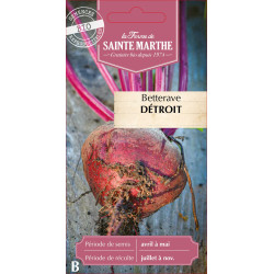 Betterave detroit/bolivar bio - sainte marthe de La Ferme de Sainte Marthe - Graines BIO dans Graines de Betterave