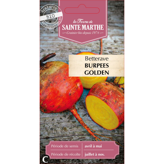 Betterave potagere burpees golden -sainte marthe de La Ferme de Sainte Marthe - Graines BIO dans Graines de Betterave