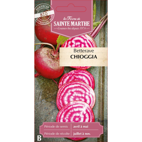 Betterave potagere chioggia bio - sainte marthe de La Ferme de Sainte Marthe - Graines BIO dans Graines de Betterave