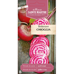 Betterave potagere chioggia bio - sainte marthe de La Ferme de Sainte Marthe - Graines BIO dans Graines de Betterave