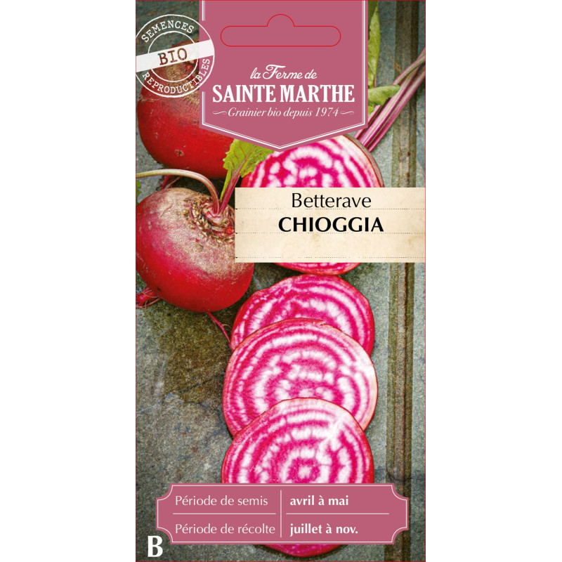 Betterave potagere chioggia bio - sainte marthe de La Ferme de Sainte Marthe - Graines BIO dans Graines de Betterave
