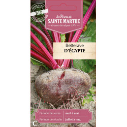 Betterave potagere d'egypte bio - sainte marthe de La Ferme de Sainte Marthe - Graines BIO dans Graines de Betterave