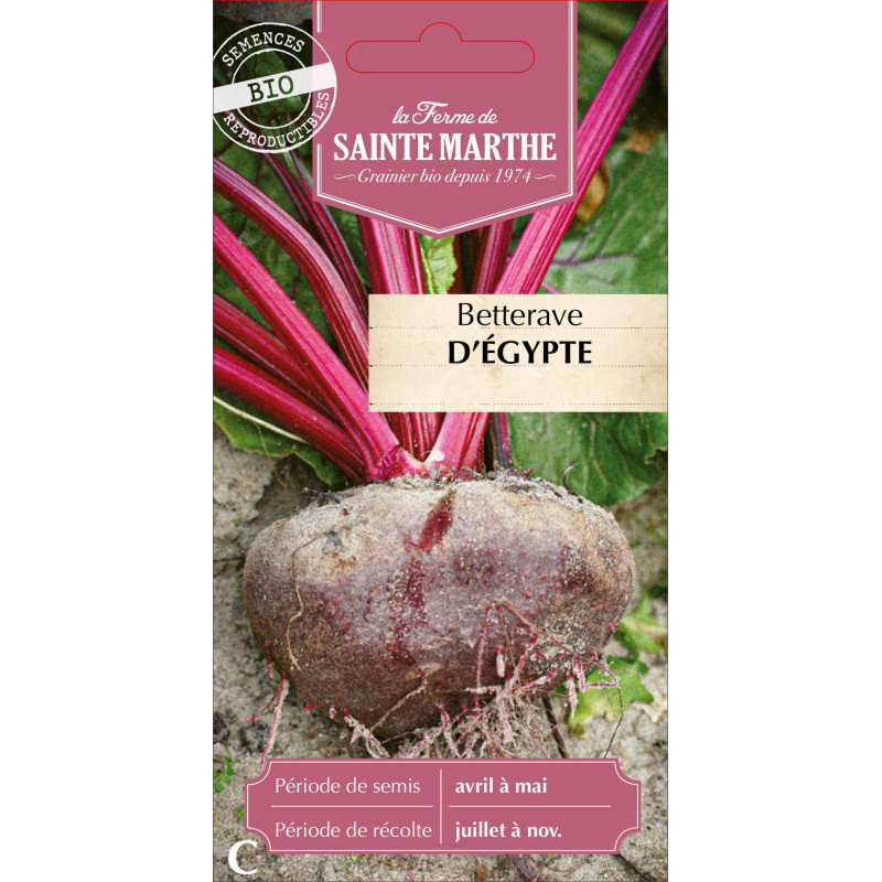 Betterave potagere d'egypte bio - sainte marthe de La Ferme de Sainte Marthe - Graines BIO dans Graines de Betterave