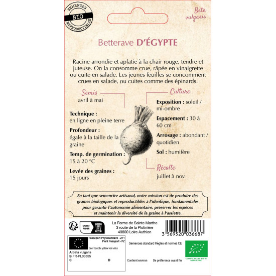 Betterave potagere d'egypte bio - sainte marthe de La Ferme de Sainte Marthe - Graines BIO dans Graines de Betterave