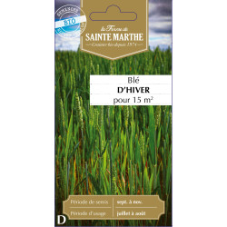 Ble d´hiver bio - ferme sainte marthe de La Ferme de Sainte Marthe - Graines BIO dans Graines de Jachere fleurie