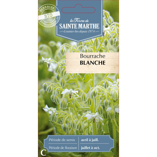 Bourrache blanche bio - ferme sainte marthe de La Ferme de Sainte Marthe - Graines BIO dans Graines de fleurs en B