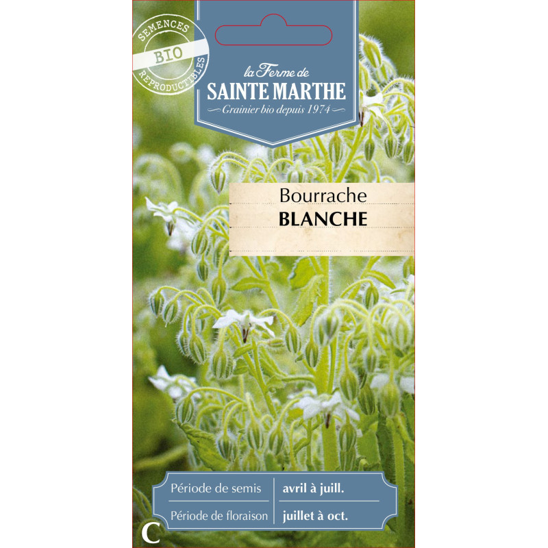 Bourrache blanche bio - ferme sainte marthe de La Ferme de Sainte Marthe - Graines BIO dans Graines de fleurs en B