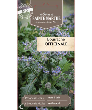 Bourrache officinale bio - ferme sainte marthe de La Ferme de Sainte Marthe - Graines BIO dans Graines d'autres aromatiques