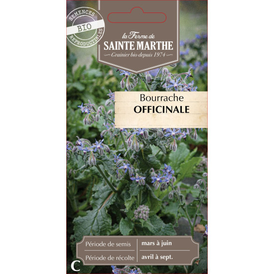 Bourrache officinale bio - ferme sainte marthe de La Ferme de Sainte Marthe - Graines BIO dans Graines d'autres aromatiques