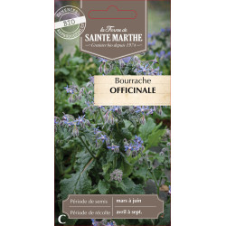 Bourrache officinale bio - ferme sainte marthe de La Ferme de Sainte Marthe - Graines BIO dans Graines d'autres aromatiques
