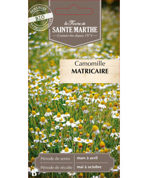 Camomille matricaire bio - ferme sainte marthe de La Ferme de Sainte Marthe - Graines BIO dans Graines d'autres aromatiques