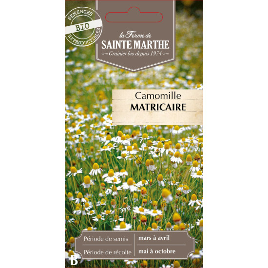 Camomille matricaire bio - ferme sainte marthe de La Ferme de Sainte Marthe - Graines BIO dans Graines d'autres aromatiques