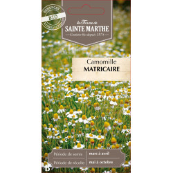 Camomille matricaire bio - ferme sainte marthe de La Ferme de Sainte Marthe - Graines BIO dans Graines d'autres aromatiques