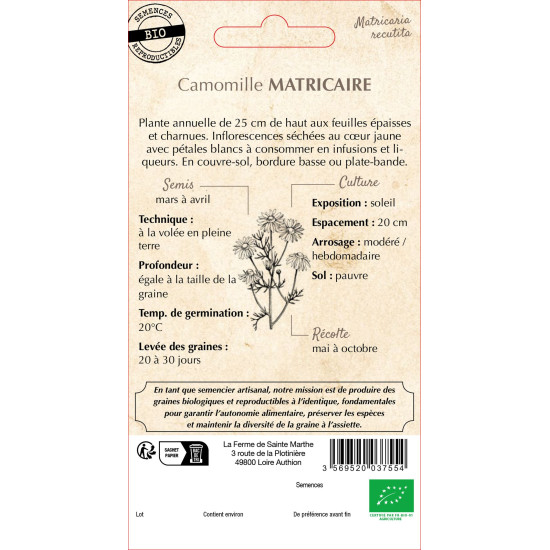 Camomille matricaire bio - ferme sainte marthe de La Ferme de Sainte Marthe - Graines BIO dans Graines d'autres aromatiques
