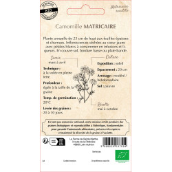 Camomille matricaire bio - ferme sainte marthe de La Ferme de Sainte Marthe - Graines BIO dans Graines d'autres aromatiques