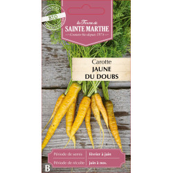 Carotte jaune du doubs bio - ferme sainte marthe de La Ferme de Sainte Marthe - Graines BIO dans Graines de Carotte