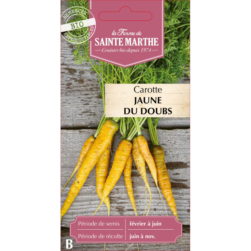 Carotte jaune du doubs bio - ferme sainte marthe de La Ferme de Sainte Marthe - Graines BIO dans Graines de Carotte