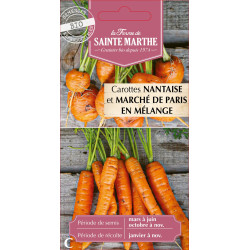 Carotte potagere en melange - sainte marthe de La Ferme de Sainte Marthe - Graines BIO dans Graines de Carotte