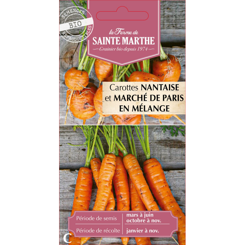Carotte potagere en melange - sainte marthe de La Ferme de Sainte Marthe - Graines BIO dans Graines de Carotte