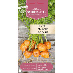 Carotte potagere marche de par bio -sainte marth de La Ferme de Sainte Marthe - Graines BIO dans Graines de Carotte