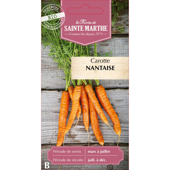 Carotte potagere nantaise ame bio - sainte marth de La Ferme de Sainte Marthe - Graines BIO dans Graines de Carotte