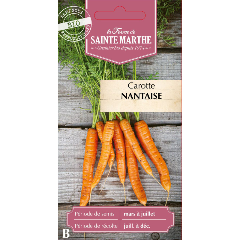 Carotte potagere nantaise ame bio - sainte marth de La Ferme de Sainte Marthe - Graines BIO dans Graines de Carotte