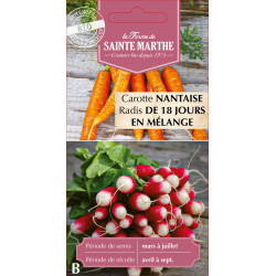 Carotte-radis (carot nant-18) bio - sainte marth de La Ferme de Sainte Marthe - Graines BIO dans Graines de Carotte