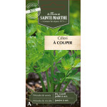 Celeri a couper bio - ferme sainte marthe de La Ferme de Sainte Marthe - Graines BIO dans Graines de Celeri