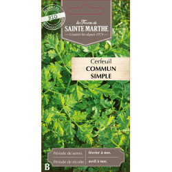Cerfeuil commun bio - ferme sainte marthe de La Ferme de Sainte Marthe - Graines BIO dans Graines de Cerfeuil