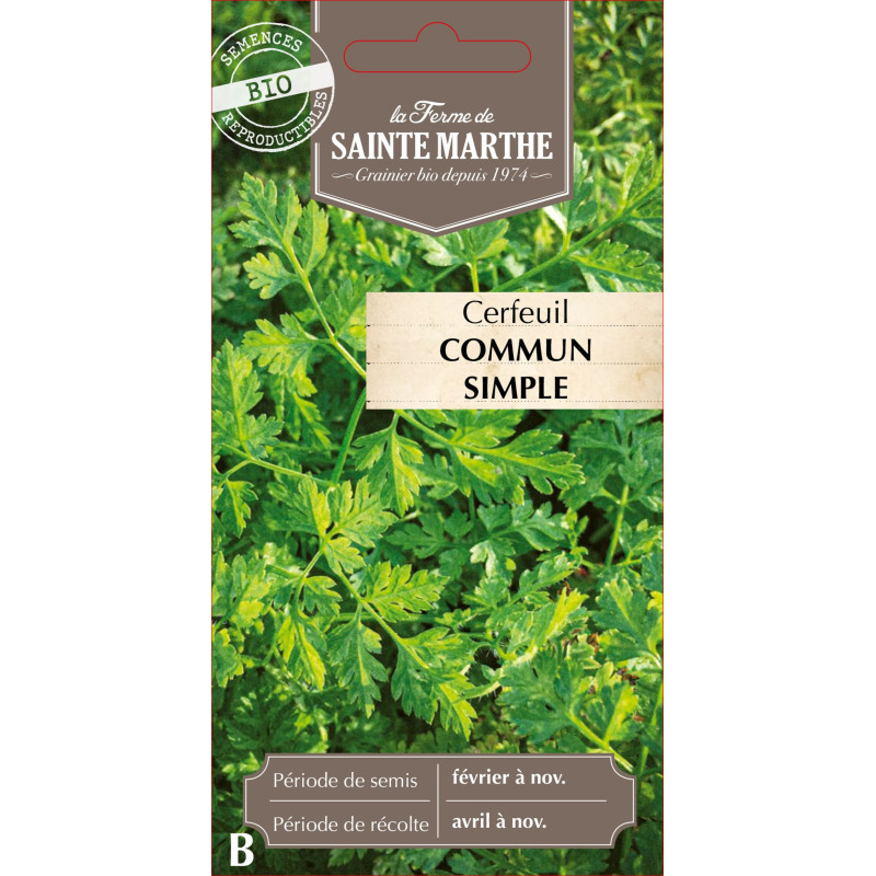 Cerfeuil commun bio - ferme sainte marthe de La Ferme de Sainte Marthe - Graines BIO dans Graines de Cerfeuil