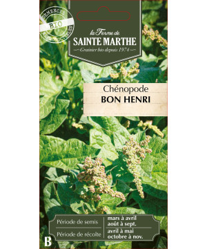 Chenopode bon henri bio - ferme sainte marthe de La Ferme de Sainte Marthe - Graines BIO dans Graines d'autres aromatiques