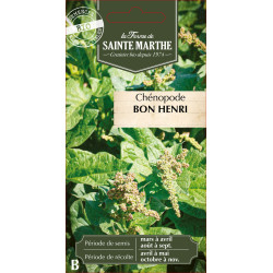 Chenopode bon henri bio - ferme sainte marthe de La Ferme de Sainte Marthe - Graines BIO dans Graines d'autres aromatiques
