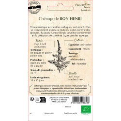 Chenopode bon henri bio - ferme sainte marthe de La Ferme de Sainte Marthe - Graines BIO dans Graines d'autres aromatiques